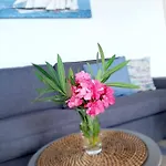 Riko - 